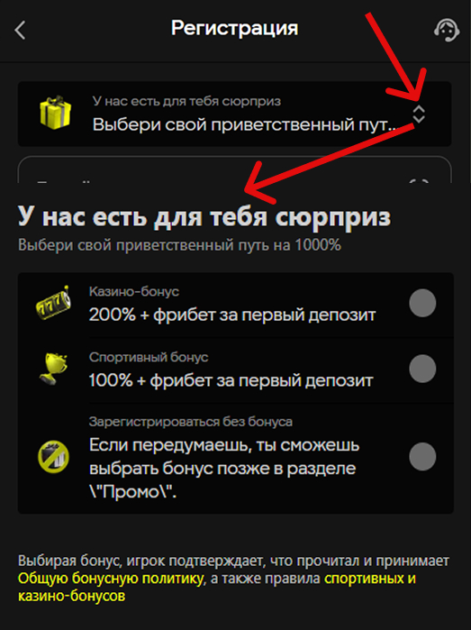 Заполнение персональных данных, необходимых для регистрации